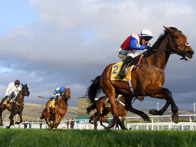 Cheltenham Festival 2022 starts on Tuesday, March 12 - Credit: Getty Images