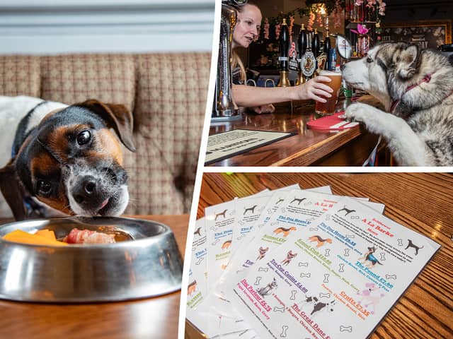 The Bellflower in Preston, Lancashire, won the accolade of the official best pub for dogs in the UK
