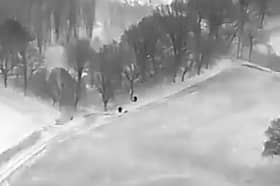 Drone pilot and dog handler link up to arrest a suspect.