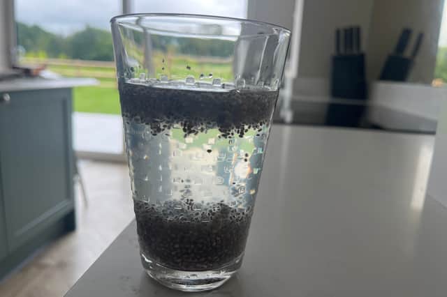 Tadpole Water after 2 hours