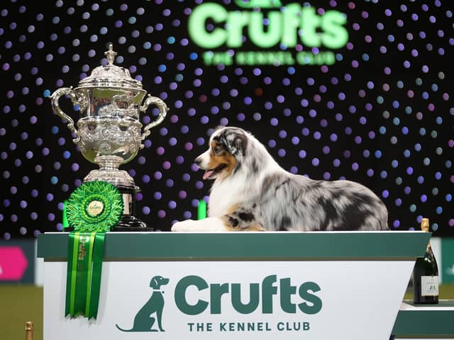 Crufts Best in Show will be on Channel 4