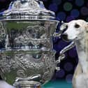 Miuccia, a whippet, poses beside the trophy after winning the title for Best In Show at Crufts.