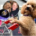 Dawn Heaton with her miniature poodle, Henry at Preston Trick Dogs