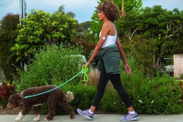 Lingo is the smartest way to understand your body and build healthier habits