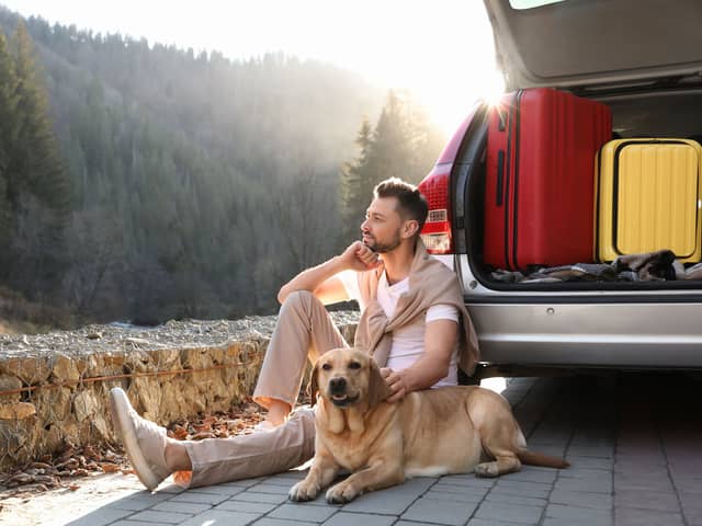 Hotel searches using the ‘pet-friendly’ filter are up 28% year on year.