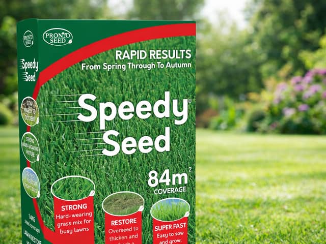 A £14 box of lawn seed is out-selling every other garden product on Amazon at the moment