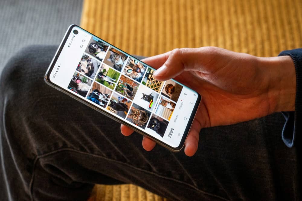Pet owners store an average of 176 snaps of four-legged friends on their device.