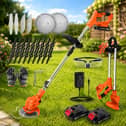 The LIVENTO cordless strimmer includes interchangeable blades and two rechargeable batteries for tackling lawns and overgrown borders