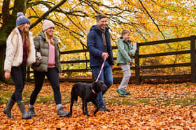 Family holidays for less than £100? You'd be surprised how many options there are