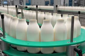 The fibre bottles are manufactured from sustainably sourced wood pulp, contain no hidden plastic and are recyclable 