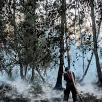 Cost of tackling Holme Fen fire near Peterborough estimated to hit £750,000