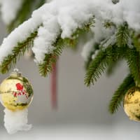 Bookies reveal odds of Peterborough having White Christmas in 2026