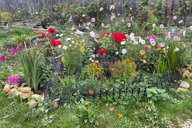 One of Andrea's many flowerbeds