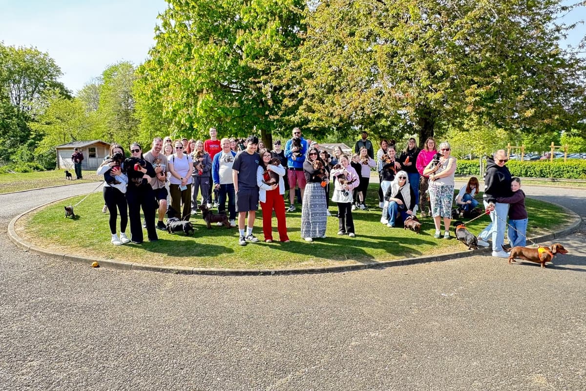 Peterborough dachshund group grows to nearly 300 members, creating a ...