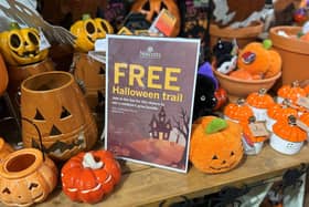 The children’s Halloween trail is free to enjoy at Notcutts Garden Centre.  