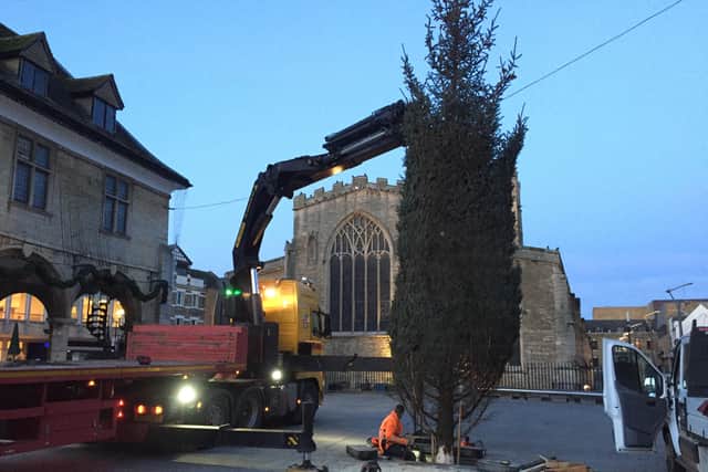 The tree arrives in Peterborough