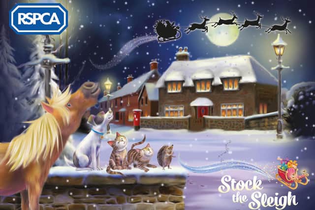 The RSPCA has launched its Stock the Sleigh appeal