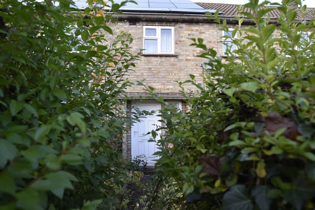 The overgrown garden in Central Avenue