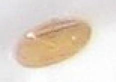 Gold cufflink