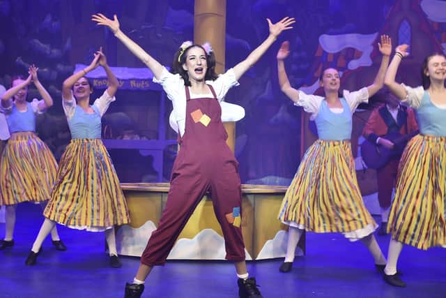 Beauty and the Beast panto at the Key Theatre. EMN-190412-221516009