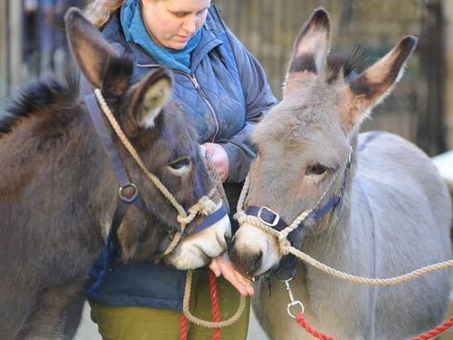 Living Nativity at Peterborough Cathedral Nat19 EMN-191223-145043009