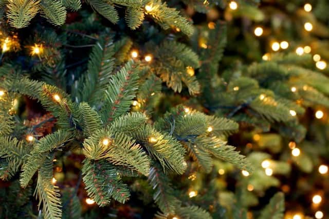 Make sure to have your tree down by 7 January - it's bad luck! Picture: Shutterstock