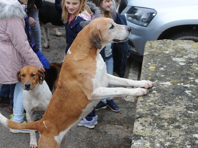 The meet in Wansford