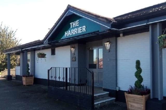 The Harrier