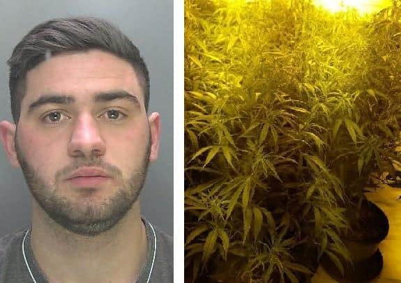 Eduart Zela and the drugs which were discovered