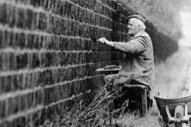 Colin Hartley is pictured busy repointing the wall around Harewood House in October 1990.