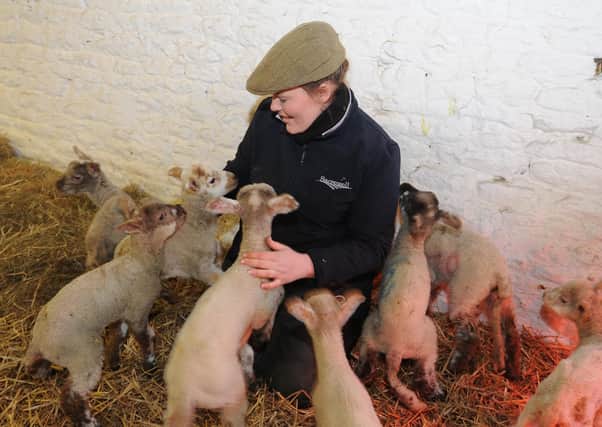 Sacrewell Farm's livestock manager  Jess Gaughan with spring lambs last Easter. EMN-180331-174752009