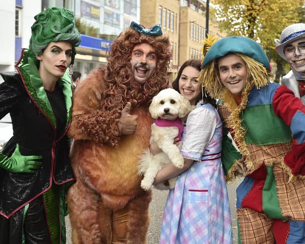 The New Theatre panto last year - The Wizard of Oz.