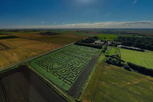 The skylark maze