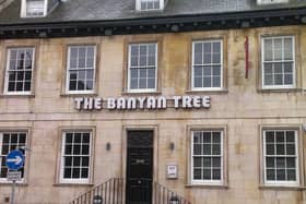 Banyan Tree in Westgate, Peterborough. EMN-161013-103539001