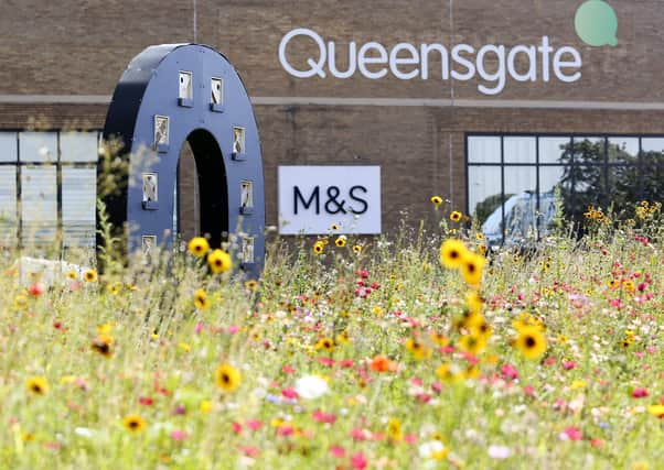 Queensgate shopping centre's wild meadow.