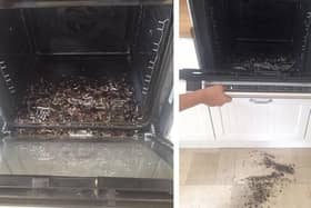 Damage caused to Elizabeth's Hotpoint oven