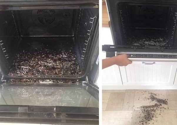 Damage caused to Elizabeth's Hotpoint oven