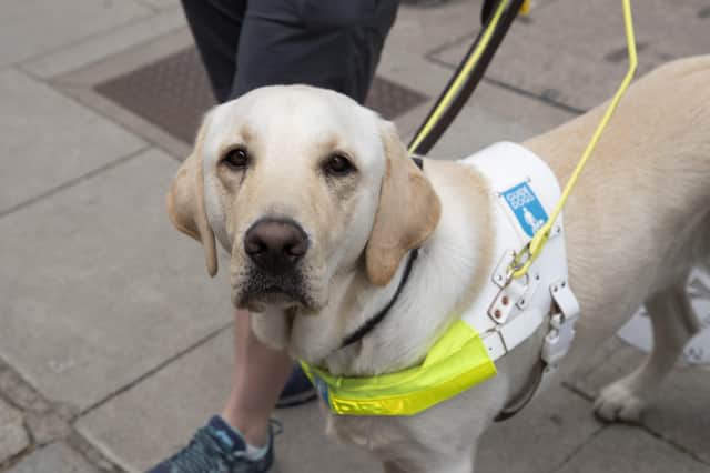 Guide dog users have raised the problem of pavement parking with the government