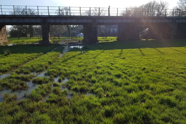A view of part of the existing path across the waterlogged field that the new route would replace