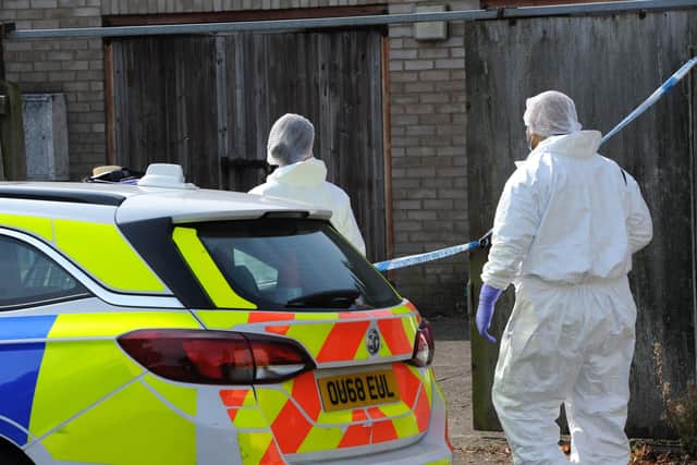 Police searches for Bernadette
