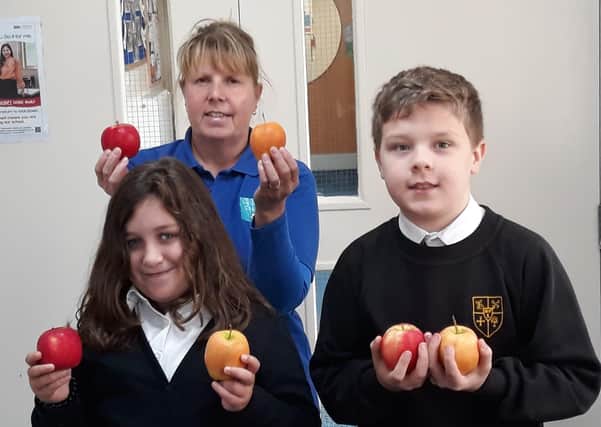 Werrington Primary School apple tasting