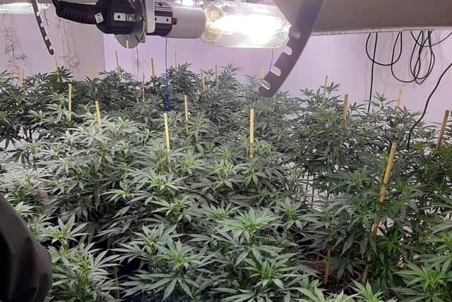 Items found by police in the raids