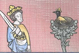 The King Oswald's Raven animation