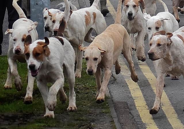 Hunting and meeting with dogs has been banned on Peterborough City Council land following a Full Council vote.