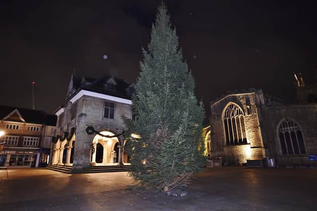 The Christmas tree has arrived in Cathedral Square. EMN-201116-065538009