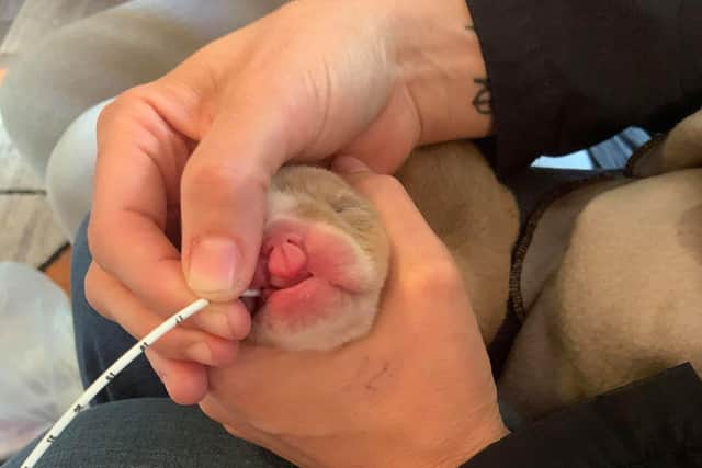 Tube feeding Doris. EMN-201118-122920001