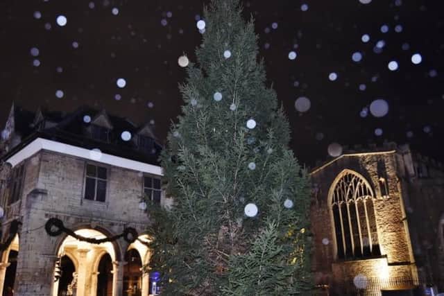 The tree in Cathedral Square