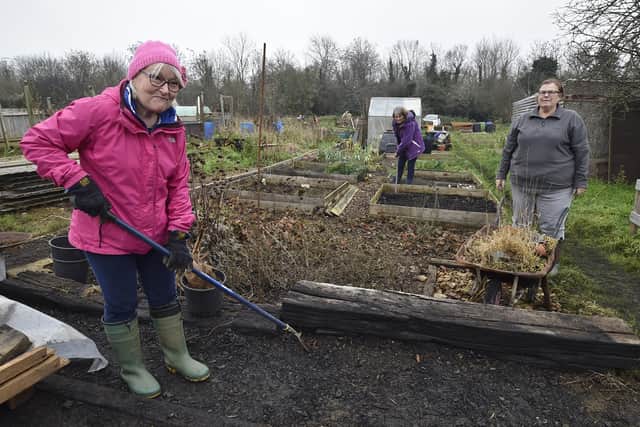 Fane Road allotment holders sorting their plots out after the clear-up. Moira Jamieson, Rosemary Wales and Jackie Markley EMN-201128-131419009