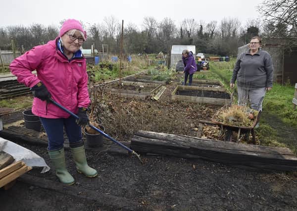 Fane Road allotment holders sorting their plots out after the clear-up. Moira Jamieson, Rosemary Wales and Jackie Markley EMN-201128-131419009