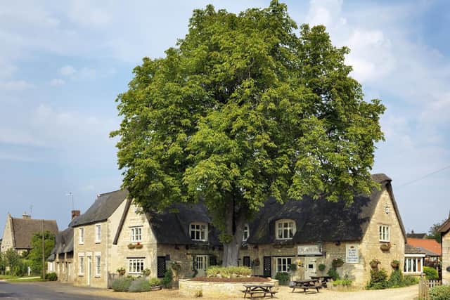 The Crown Inn at Ellton - Cambridgeshire Dining Pub of the Year